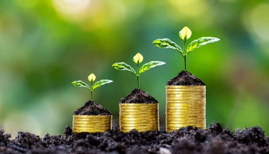 Calculadora de juros compostos: dinheiro crescendo como uma planta ao longo do tempo